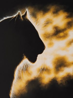 Respiration féline
