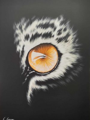 Oeil de lumière
