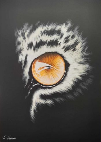 Oeil de lumière