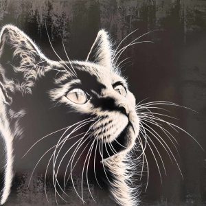 Moustaches du soir... Espoir