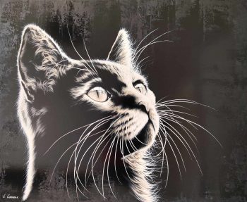 Moustaches du soir… Espoir