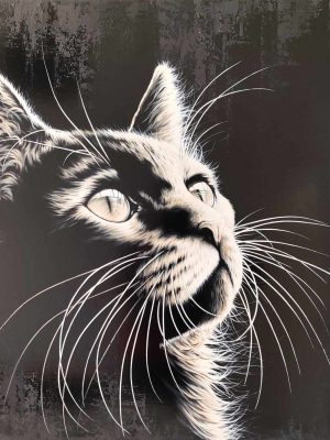 Moustaches du soir… Espoir