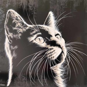 Moustaches du soir... Espoir