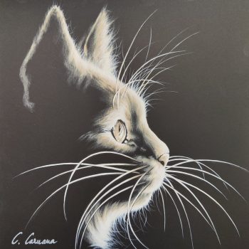 #1 Mes Petits Moustachus