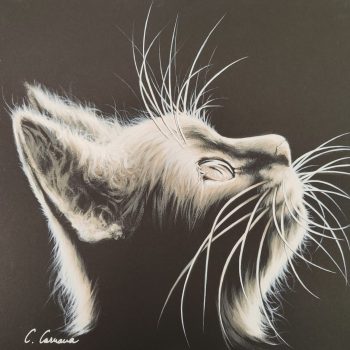#13 Mes Petits Moustachus