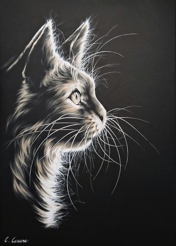 Entre Chat et Ombre